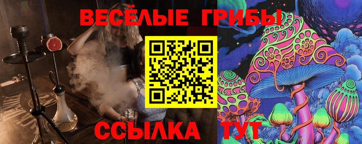 Псилоцибиновые грибы Cubensis Ноябрьск