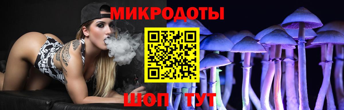 Ноябрьск  Псилоцибиновые грибы ЛСД  Вход с VPN  Галлюциногенные грибы Psilocybe 